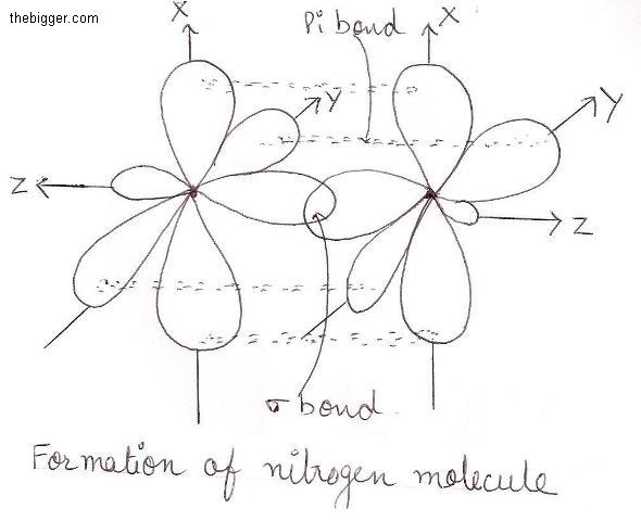 Formation-of-nitrogen-molecule