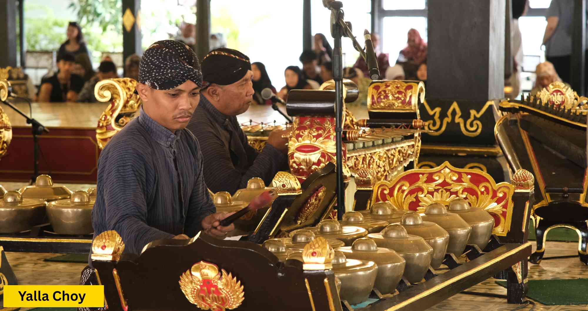 Yalla Choy: The Flavorful Journey of a Culinary Gem